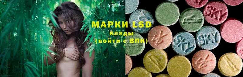 blacksprut как войти  Гулькевичи  LSD-25 экстази кислота  даркнет сайт 